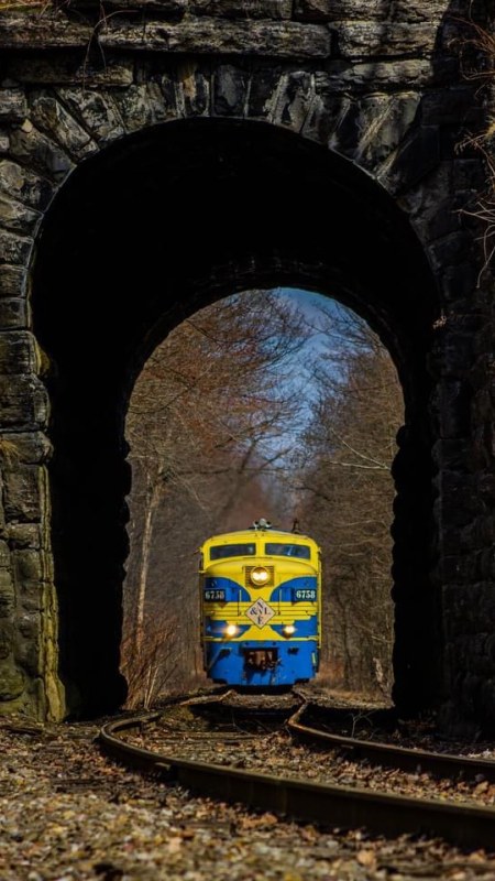 Train going through tunnel
