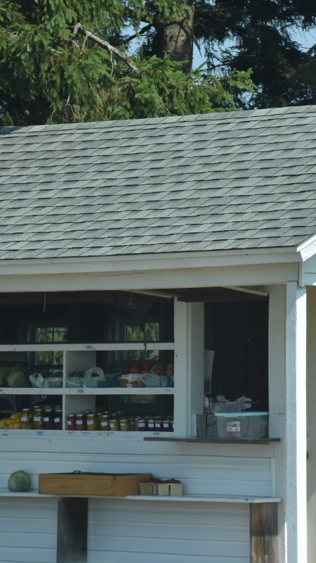 Baked goods, veggies, fruits
