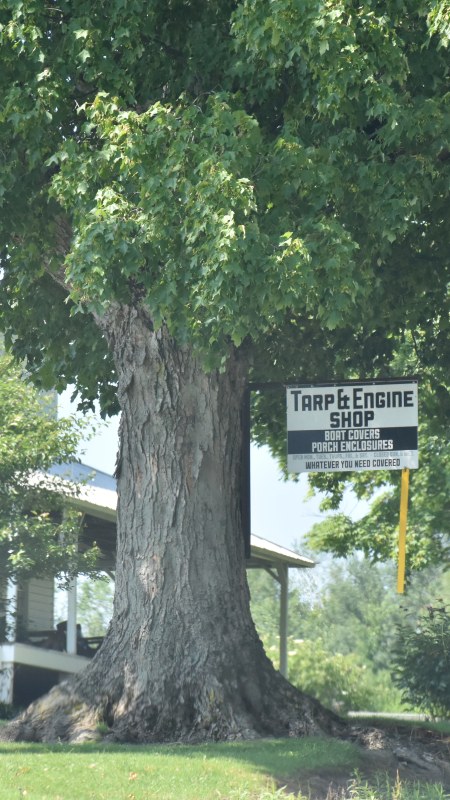 Tarp & Engine Shop