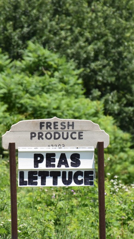 Fresh Produce, Peas and Lettuce