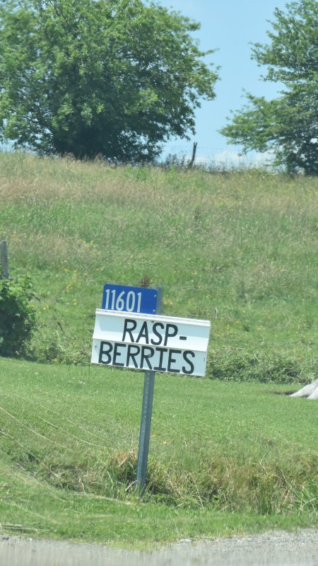 Raspberries for sale sign