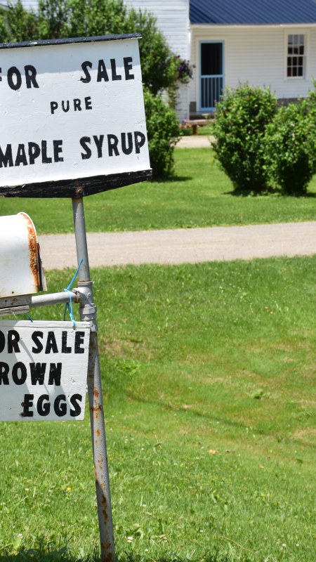 Maple Syrup and Brown Eggs for sale