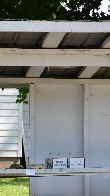 Produce stand at Amish business along NY's Amish Trail