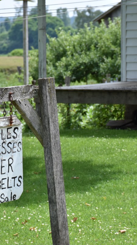 Saddles, Harnesses, Leather Belts sign along NY's Amish Trail