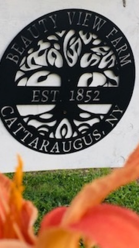 Image of Beauty View's Sign