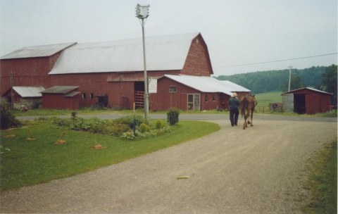 Amish man and horse retire after a day of work along the Amish Trail