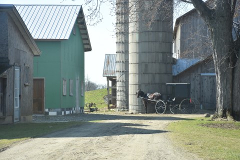 Horse and buggy on a farm