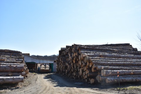 Amish sawmill ready for hard work
