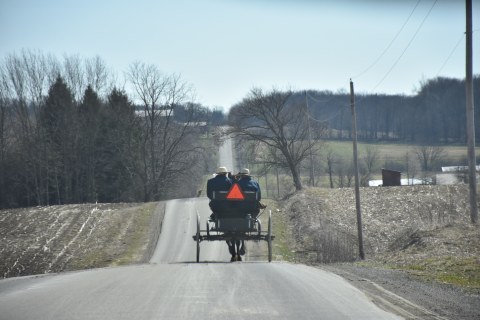 Amish buggy heading down the hilly road