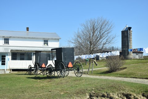 Amish buggies on a lovely spring laundry day 