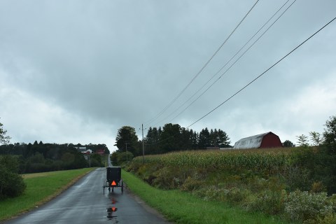 Rainy Day Amish Buggy in South Dayton along NY's Amish Trail