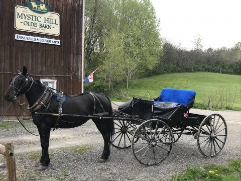 Horse and Buggie parked in front of Mystic Hill Olde Barn