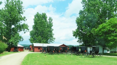 Buggies parked in yard along the Amish Trail