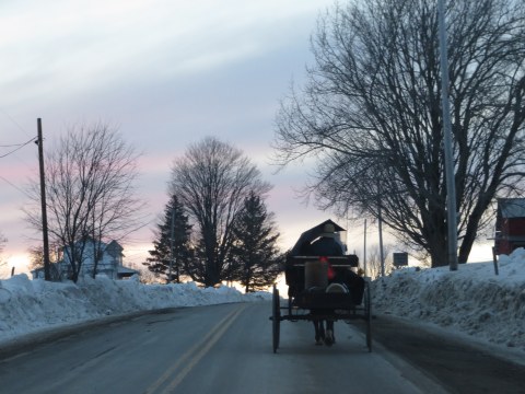 Amish buggy on winter road