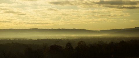 Foggy morning- Belle Idee Photography