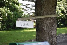 Rhubarb sign