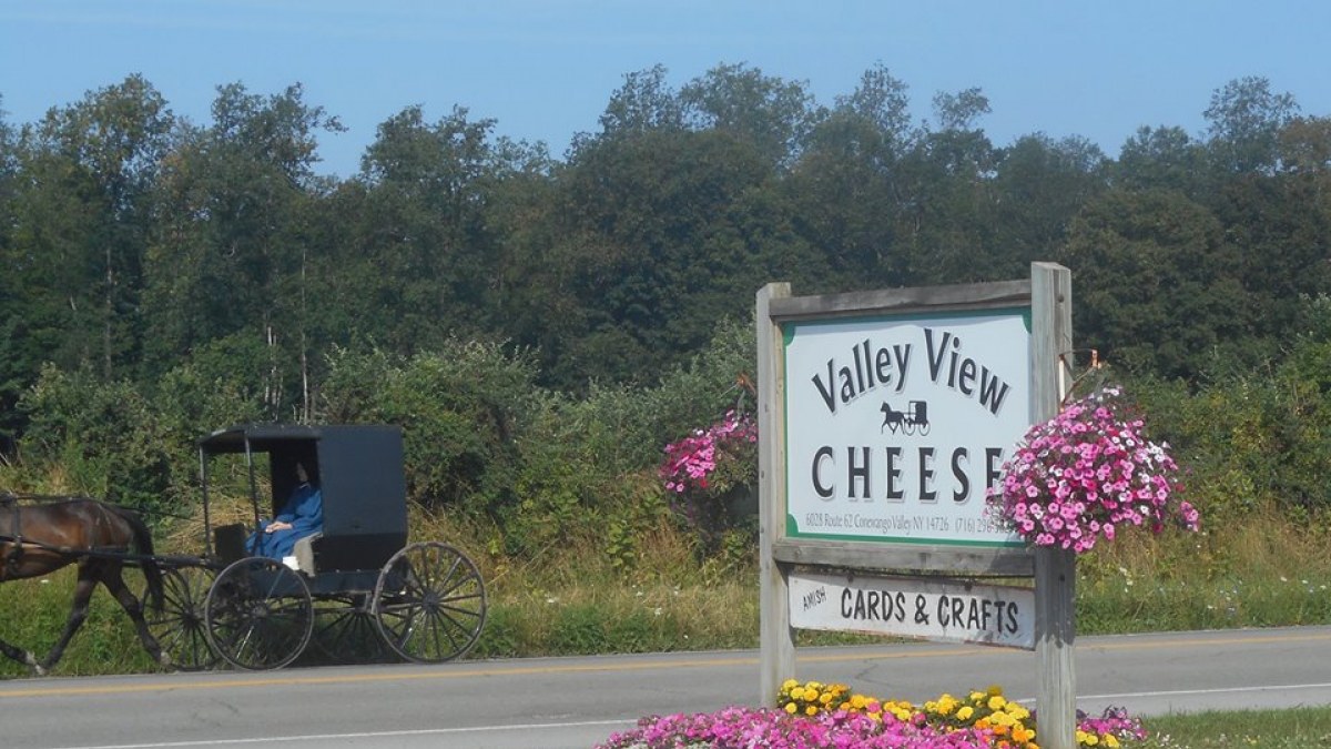 Valley View Cheese Co.