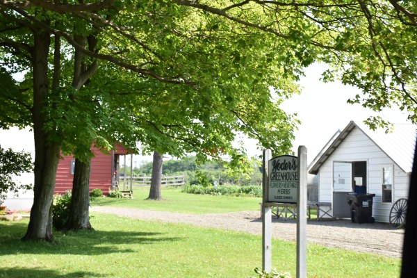 Yoder's Greenhouse