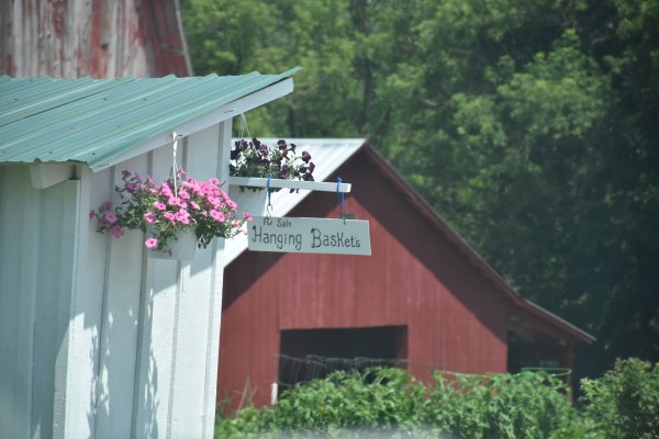 Hanging baskets sign