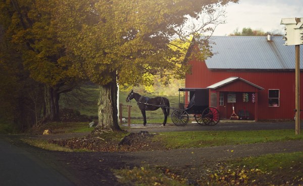 Amish Horse and Buggy on an early autumn day in Western New York