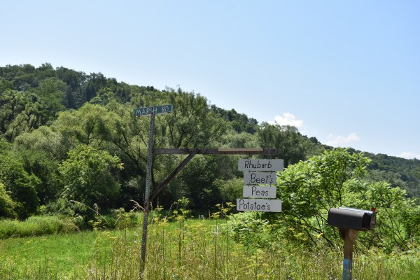 Rhubarb, Beet's, Peas, Potatoes