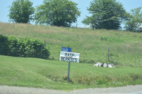 Raspberries for sale sign