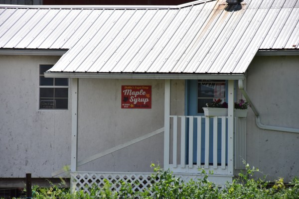 Pure Maple Syrup for sale along NY's Amish Trail