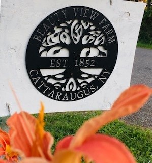 Image of Beauty View's Sign