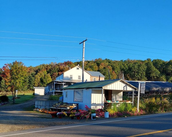 Outside of Shetler's 