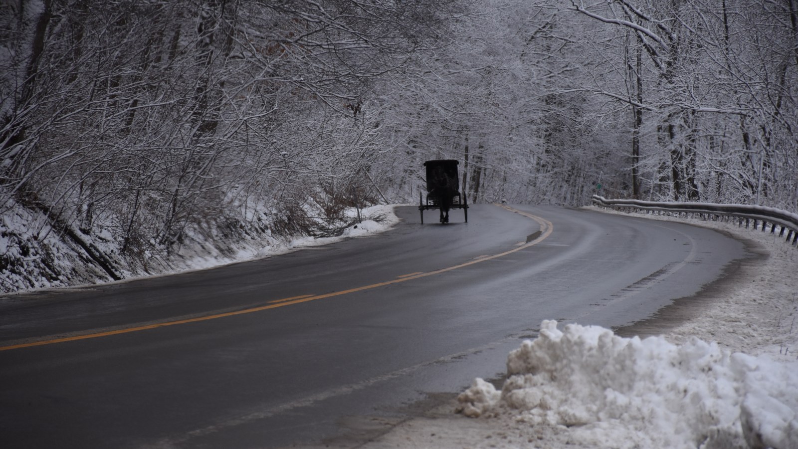 Amish horse and Buggy on a snowy morning