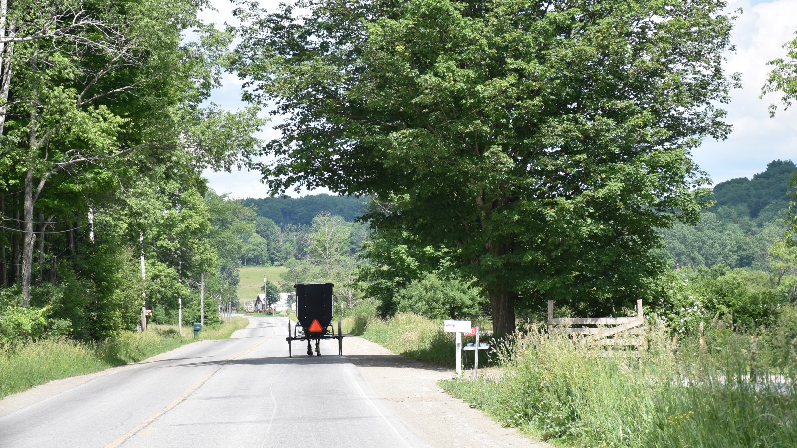 Amish Buggy on the road on a sunny, summer day