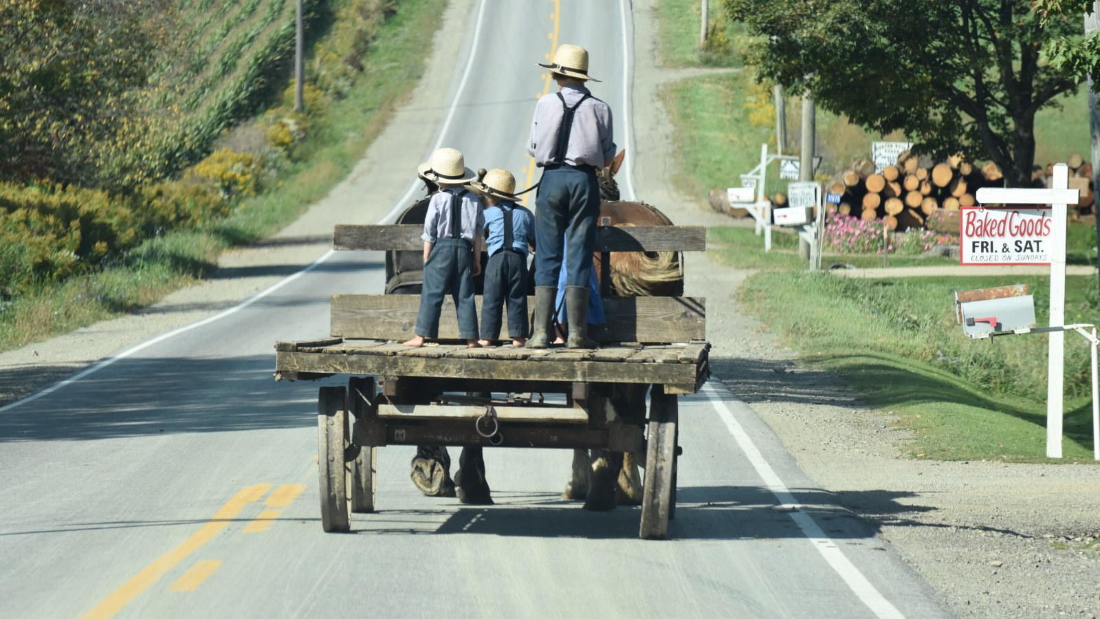 Amish Boys on Wagon