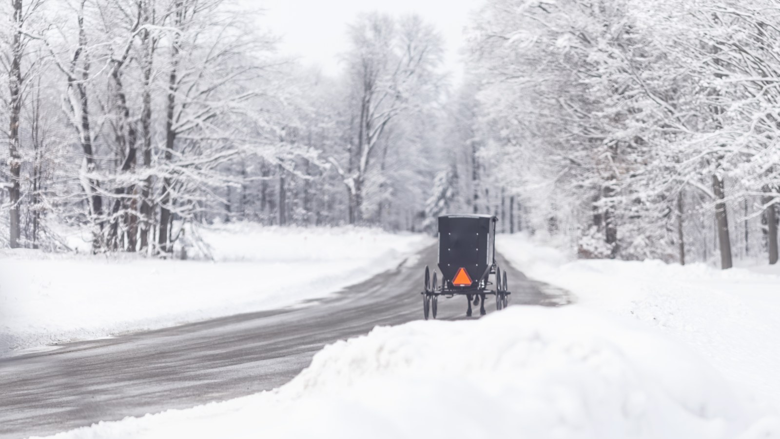 Amish Horse and buggy in winter