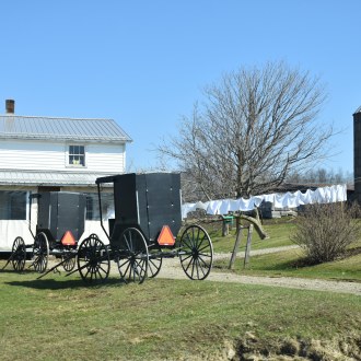 Amish buggies on a lovely spring laundry day 
