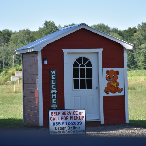 Sticky Paws Building