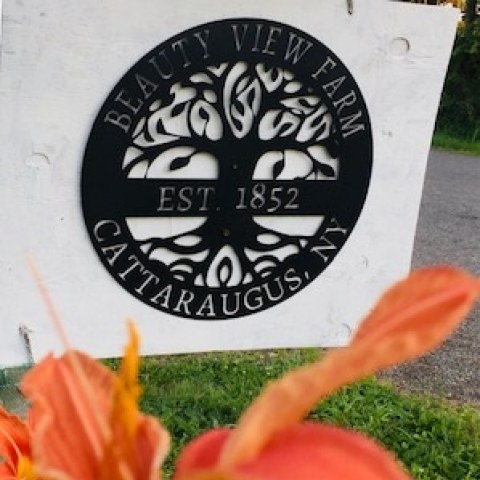 Image of Beauty View's Sign